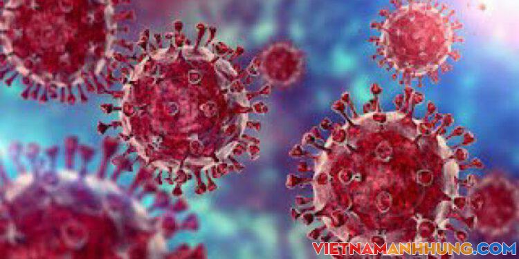 Biến chủng mới Omicron (B.1.1.529) có xâm nhập vào Việt Nam không?