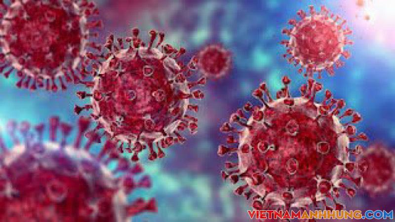 Biến chủng mới Omicron (B.1.1.529) có xâm nhập vào Việt Nam không?