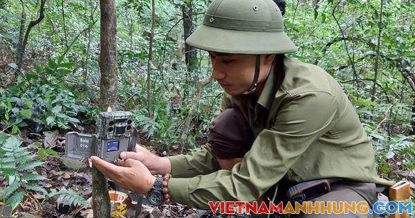 Bẫy ảnh thú quý trên non cao