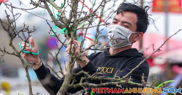 CLIP: Hoa lê “hét” giá 10 triệu đồng, nhiều khách hàng quay đầu bỏ đi ngay