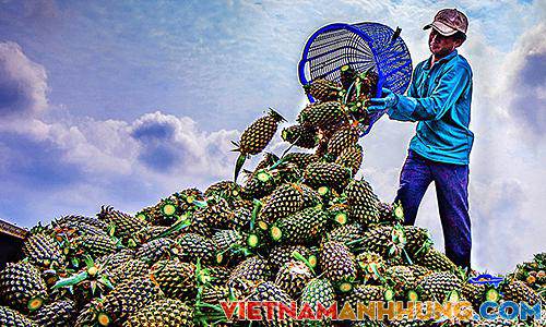 Hậu Giang đẩy mạnh chương trình mỗi xã một sản phẩm