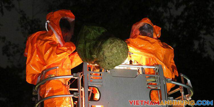 Hơn 10 cảnh sát bắt tổ ong ở Thảo Cầm Viên