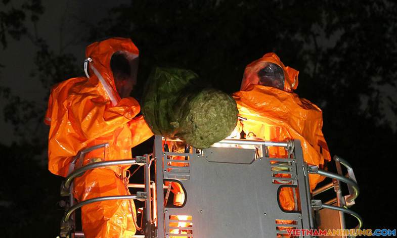 Hơn 10 cảnh sát bắt tổ ong ở Thảo Cầm Viên