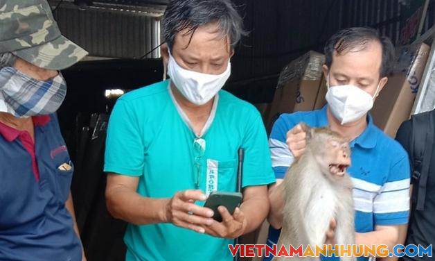 Khỉ tấn công nhiều người ven Sài Gòn