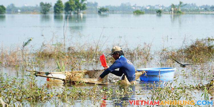 Mưu sinh theo mùa nước nổi về muộn
