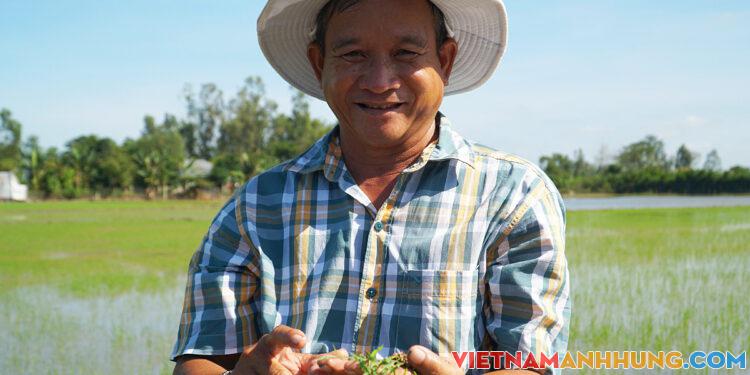 Người nông dân tạo nhiều giống lúa quý