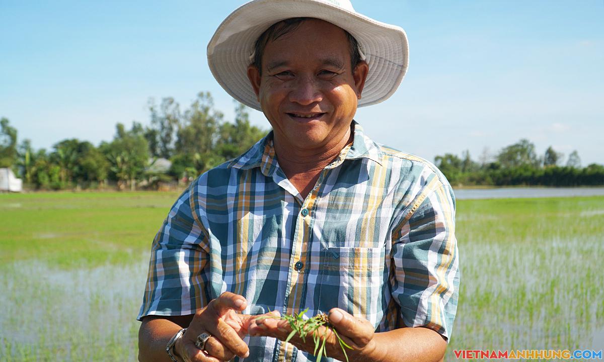 Người nông dân tạo nhiều giống lúa quý