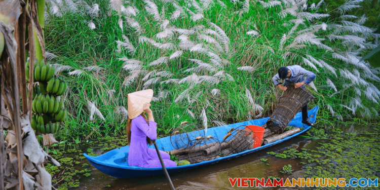 Trải nghiệm gác kèo ong, hái rau rừng tại Cà Mau