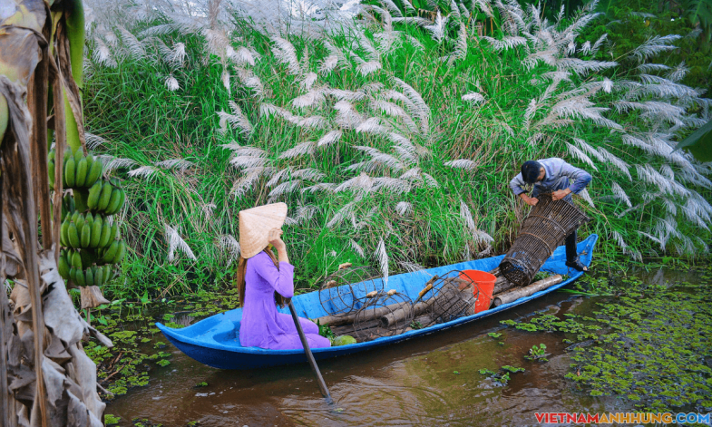 Trải nghiệm gác kèo ong, hái rau rừng tại Cà Mau