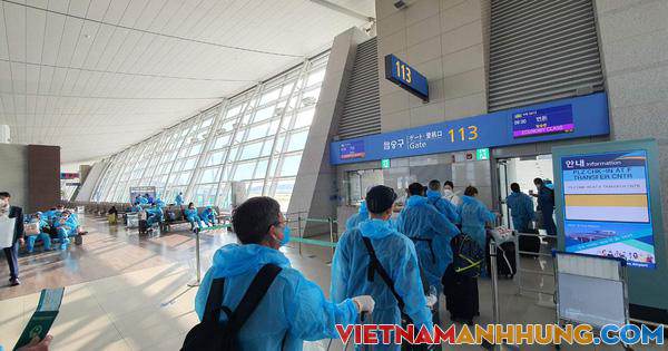 Việt Nam dự kiến đón khách Nhật Bản, Hàn Quốc, Pháp, Đức, Nga, Úc… từ quý IV này