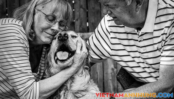 Trào lưu chụp ảnh chia tay thú cưng sắp qua đời