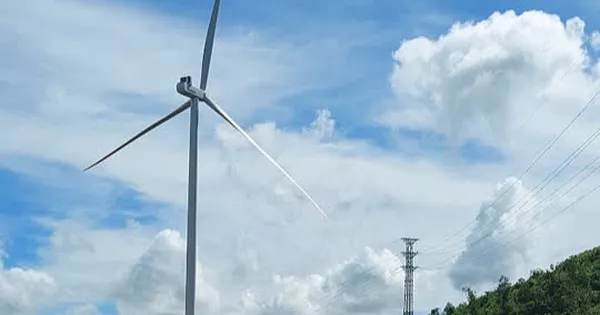 Thi thể nam sinh lớp 6 bị cháy đen bên cột xương cá truyền tải điện gió