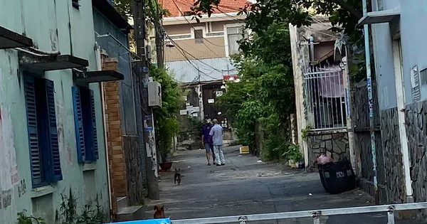 Mệnh lệnh cương quyết – Báo Người lao động