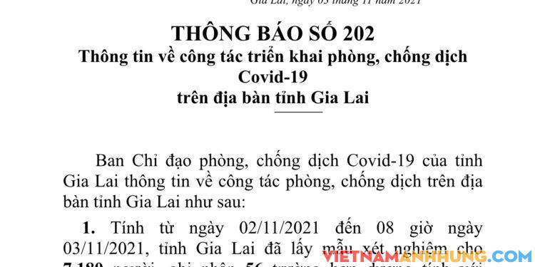 Thông báo 202: Sáng 03/11/2021 Gia Lai ghi nhận thêm 56 trường hợp dương tính với Sars-CoV-2 và 02 trường hợp tái dương tính
