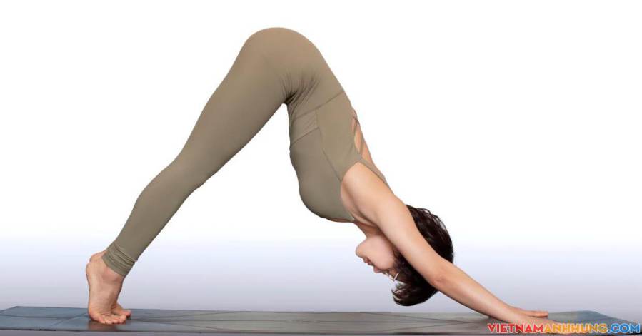 Chuỗi bài tập Yoga cân bằng nội tiết: 15 phút mỗi ngày