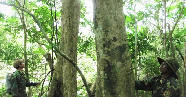 Rừng cộng đồng đầu tiên được cấp chứng chỉ quốc tế