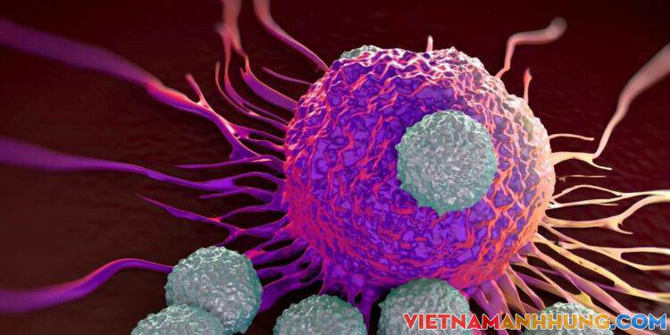 Nghiên cứu mới lý giải hiện tượng không mắc Covid-19 dù tiếp xúc gần