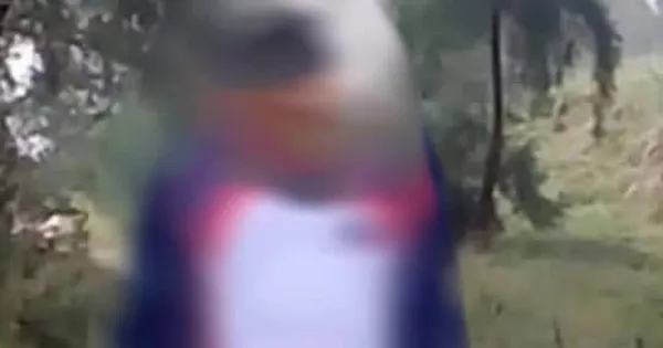 Phát hiện nam thanh niên tử vong trong tư thế treo cổ ở bờ biển Thanh Hóa