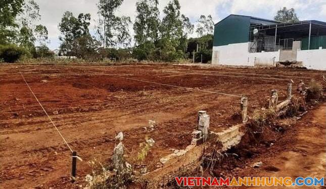 Đề nghị công an điều tra vụ phân lô bán nền ở đồi thông đẹp nhất Gia Lai