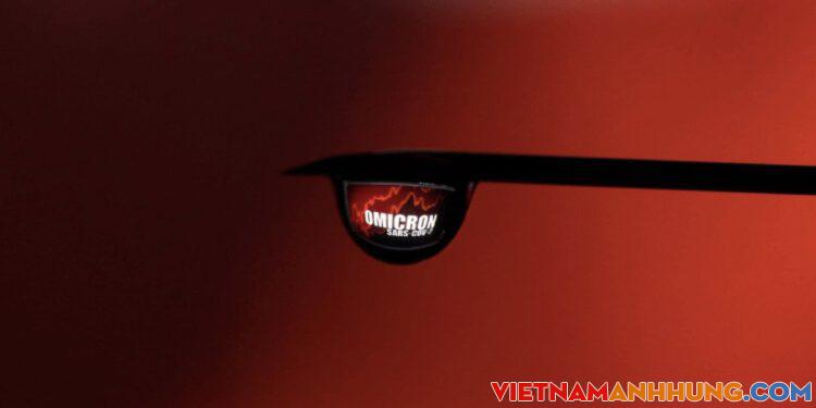 BA.2 – Chủng phụ của biến thể Omicron đặt ra câu hỏi mới về tương lai đại dịch Covid-19