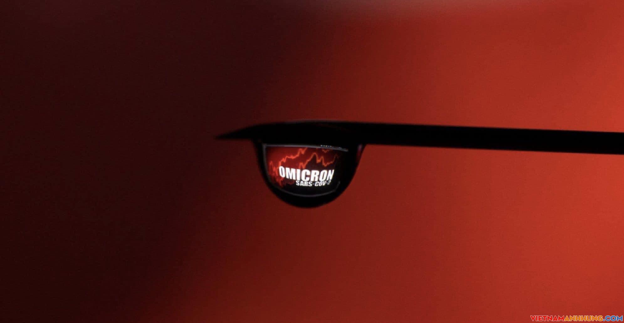 BA.2 – Chủng phụ của biến thể Omicron đặt ra câu hỏi mới về tương lai đại dịch Covid-19