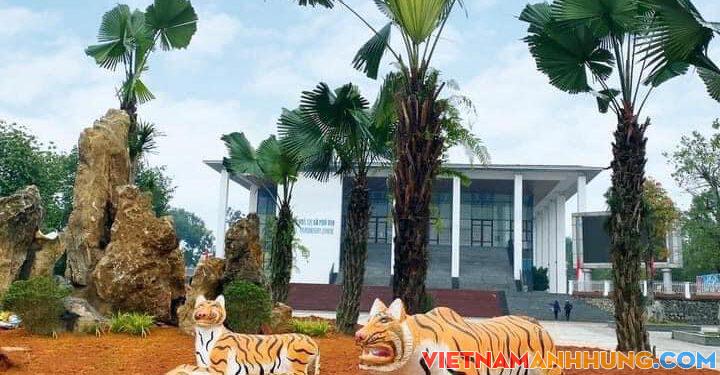 Đàn hổ ở Phú Thọ lên đường đi… bảo dưỡng