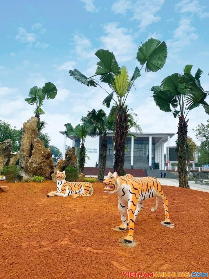 Đàn hổ ở Phú Thọ lên đường đi… bảo dưỡng