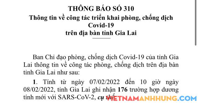 Thông báo 310: Ngày 08/02/2022, Gia Lai ghi nhận 176 trường hợp dương tính với Sars-CoV-2 và thông tin về 02 ca tử vong vì Covid-19