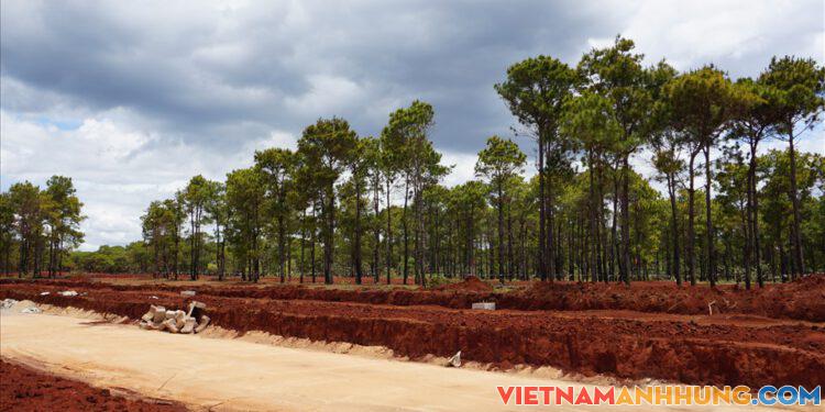 Dự án sân golf nghìn tỉ trên đồi cỏ hồng của FLC tại Gia Lai tạm dừng thi công