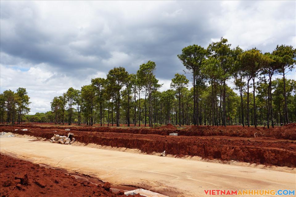 Dự án sân golf nghìn tỉ trên đồi cỏ hồng của FLC tại Gia Lai tạm dừng thi công