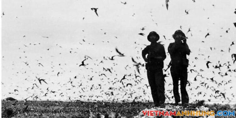 09 giờ 00 phút ngày 29/4/1975, quần đảo Trường Sa được hoàn toàn giải phóng