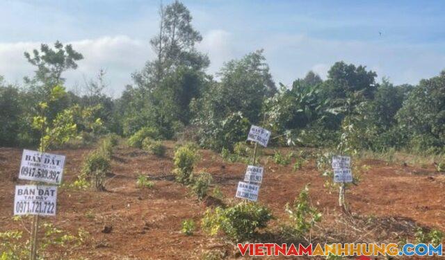 ‘Cò’ đất đột ngột mất hút, điểm nóng ‘sốt’ đất ở Tây Nguyên ê chề, giá lao dốc không phanh