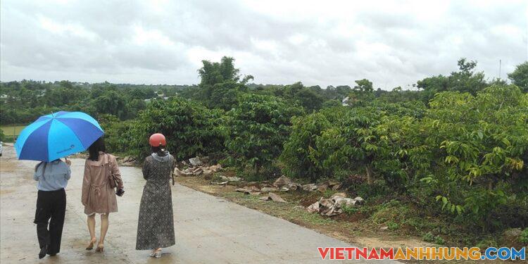 Gia Lai: Tự làm đường, phân lô bán nền trên đất nông nghiệp ở Pleiku