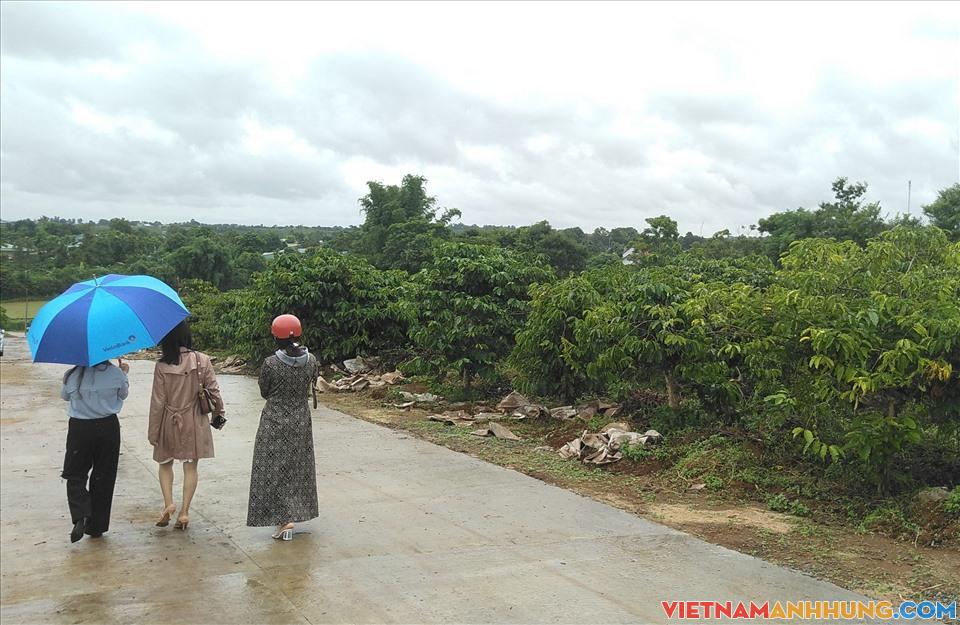 Gia Lai: Tự làm đường, phân lô bán nền trên đất nông nghiệp ở Pleiku
