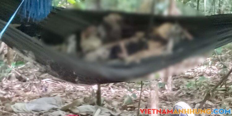 Kbang: Phát hiện 2 thi thể chỉ còn xương khô giữa vùng rừng giáp ranh