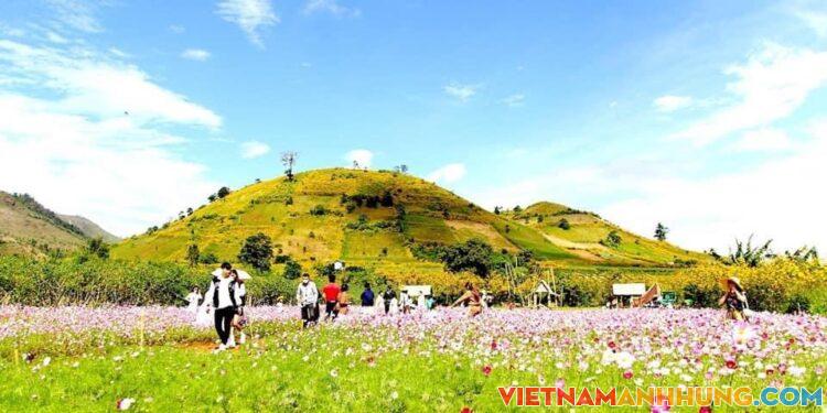 Một số hình ảnh về lễ hội hoa dã quỳ ở Gia Lai