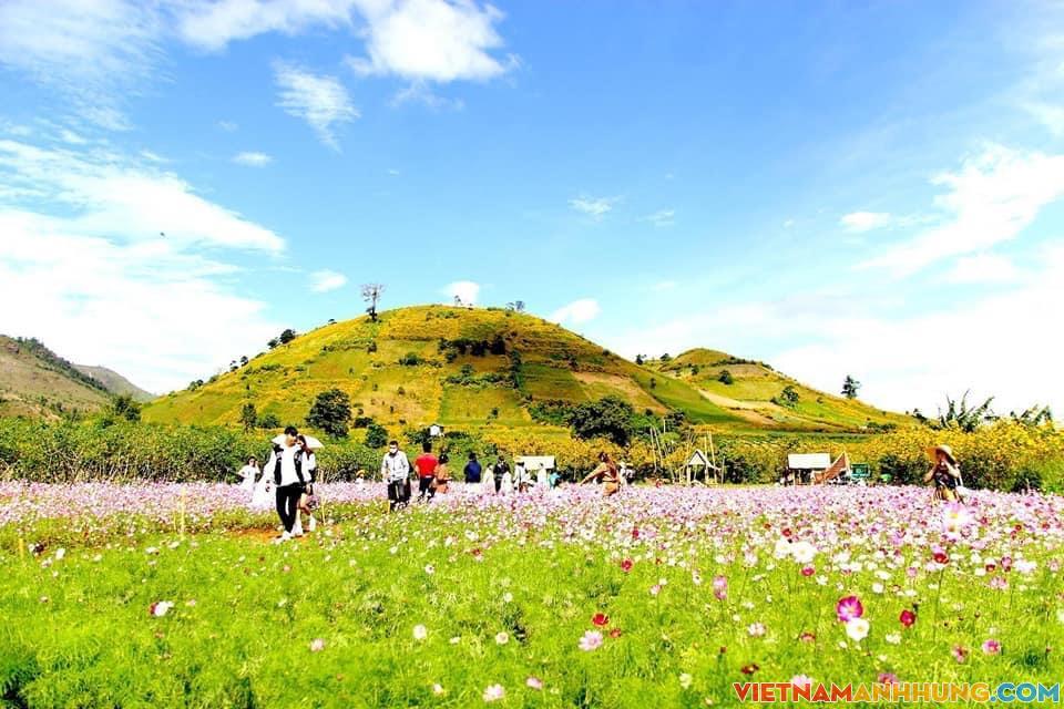 Một số hình ảnh về lễ hội hoa dã quỳ ở Gia Lai