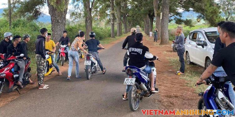 Bức xúc chuyện “quái xế” càn quấy ở hàng thông trăm tuổi xã Nghĩa Hưng