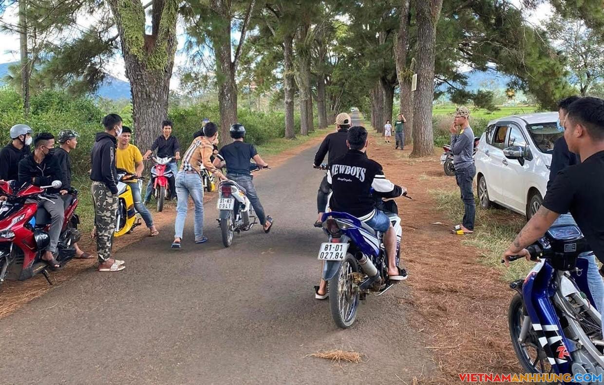 Bức xúc chuyện “quái xế” càn quấy ở hàng thông trăm tuổi xã Nghĩa Hưng