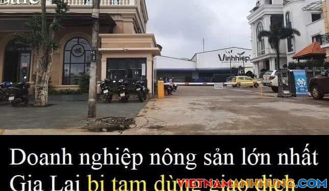 Doanh nghiệp nông sản ở Gia Lai bị tạm dừng giao dịch tài sản vì liên quan vụ án Vạn Thịnh Phát