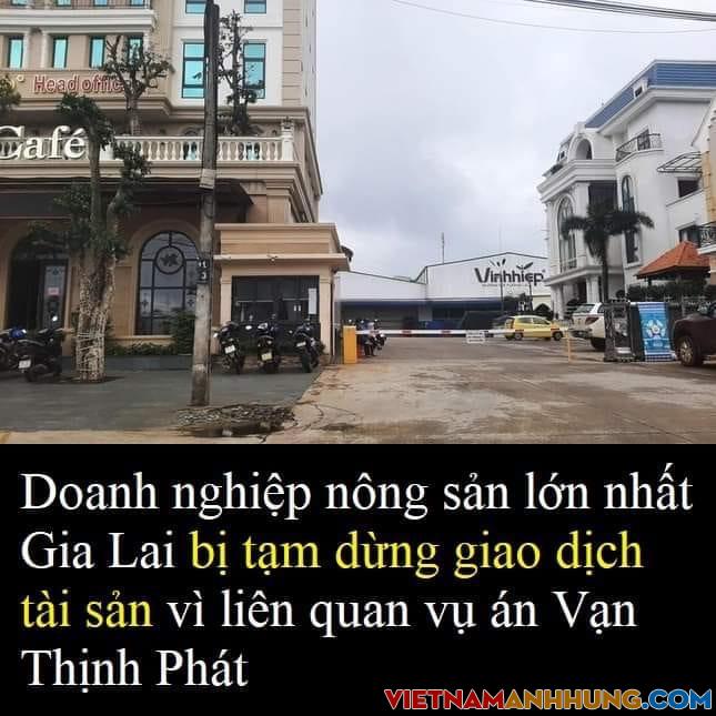 Doanh nghiệp nông sản ở Gia Lai bị tạm dừng giao dịch tài sản vì liên quan vụ án Vạn Thịnh Phát