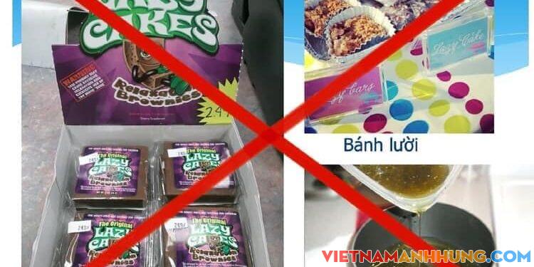 Hiểm họa từ cần sa, ma túy giấu mình