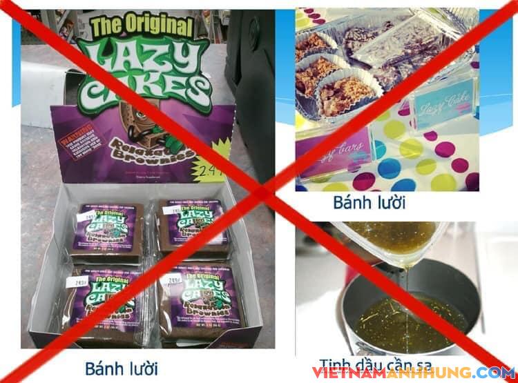 Hiểm họa từ cần sa, ma túy giấu mình